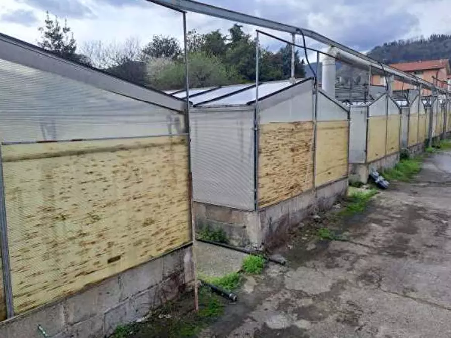 Immagine 10 di Magazzino in vendita  in Via Cinzio Cenedese a Vittorio Veneto