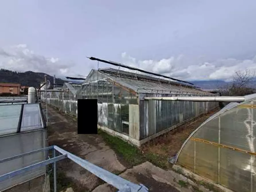 Immagine 11 di Magazzino in vendita  in Via Cinzio Cenedese a Vittorio Veneto