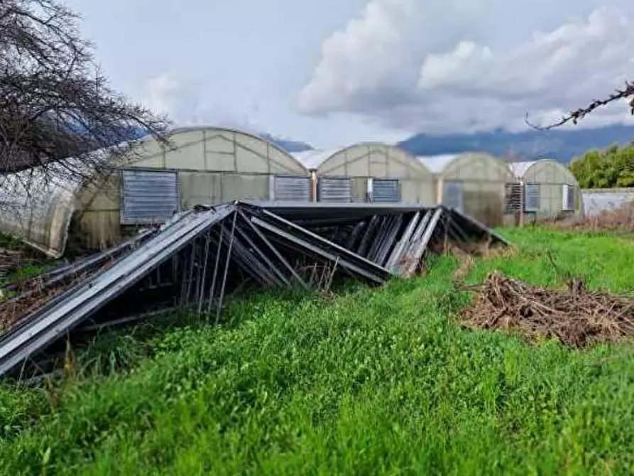 Immagine 12 di Magazzino in vendita  in Via Cinzio Cenedese a Vittorio Veneto