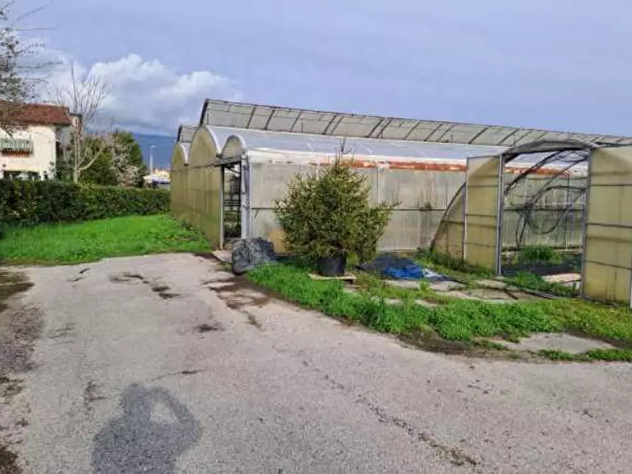 Immagine 15 di Magazzino in vendita  in Via Cinzio Cenedese a Vittorio Veneto