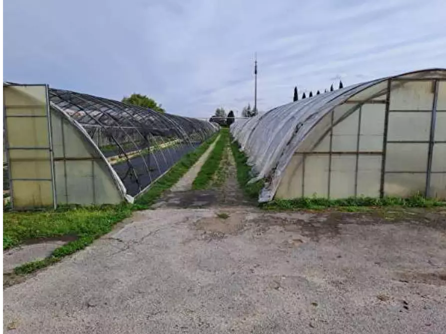 Immagine 16 di Magazzino in vendita  in Via Cinzio Cenedese a Vittorio Veneto
