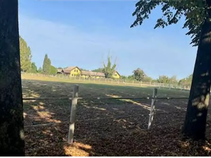 Immagine 5 di Capannone industriale in vendita  in Via Chiusa a Sant'angelo Di Piove Di Sacco