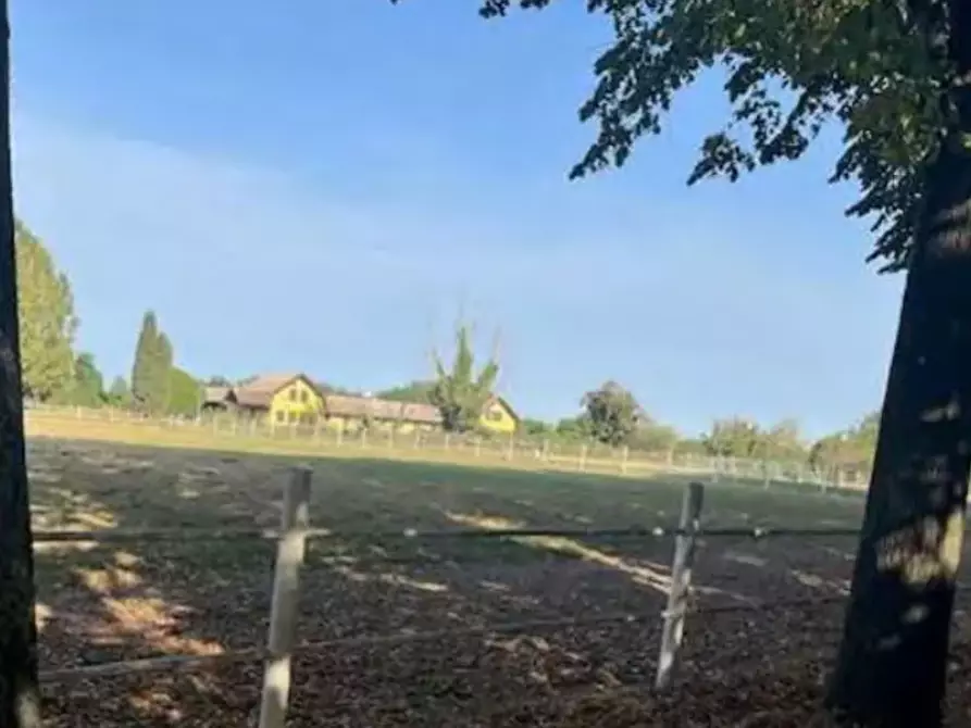 Immagine 12 di Capannone industriale in vendita  in Via Chiusa a Sant'angelo Di Piove Di Sacco