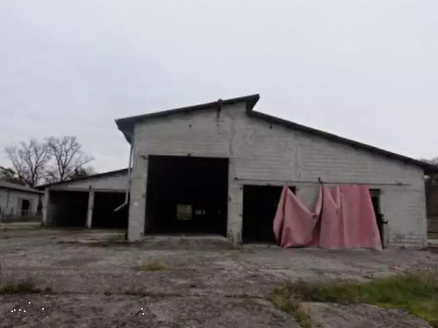 Immagine 6 di Rustico / casale in vendita  in Via Nave a Belluno