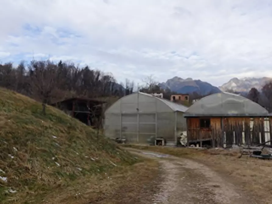 Immagine 4 di Capannone industriale in vendita  in via Mier a Belluno