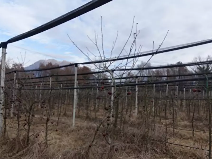 Immagine 6 di Capannone industriale in vendita  in via Mier a Belluno