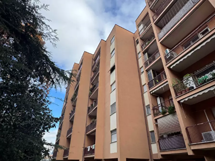 Immagine 3 di Appartamento in vendita  in Viale Portogallo a Frosinone