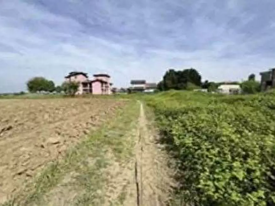 Immagine 4 di Terreno edificabile in vendita  in Via Casotti a Nogara