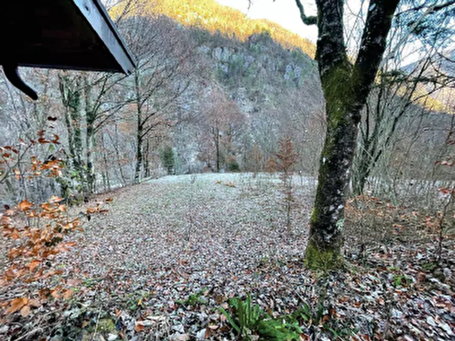 Immagine 9 di Porzione di casa in vendita  in Via Chiamp a Vito D'asio