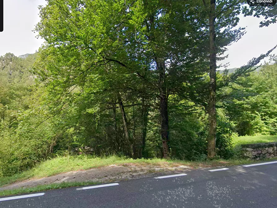 Immagine 14 di Porzione di casa in vendita  in Via Chiamp a Vito D'asio