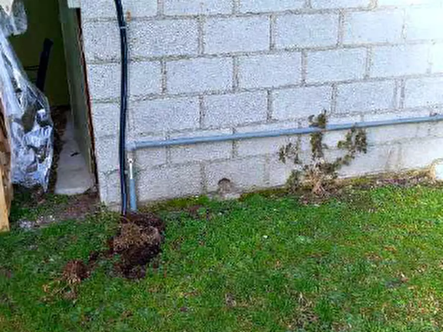 Immagine 12 di Porzione di casa in vendita  in  Via Pio X a Sesto Al Reghena