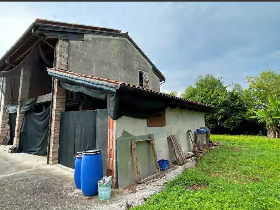 Immagine 11 di Villa in vendita  in Via Pastoreria a Gazzo Padovano