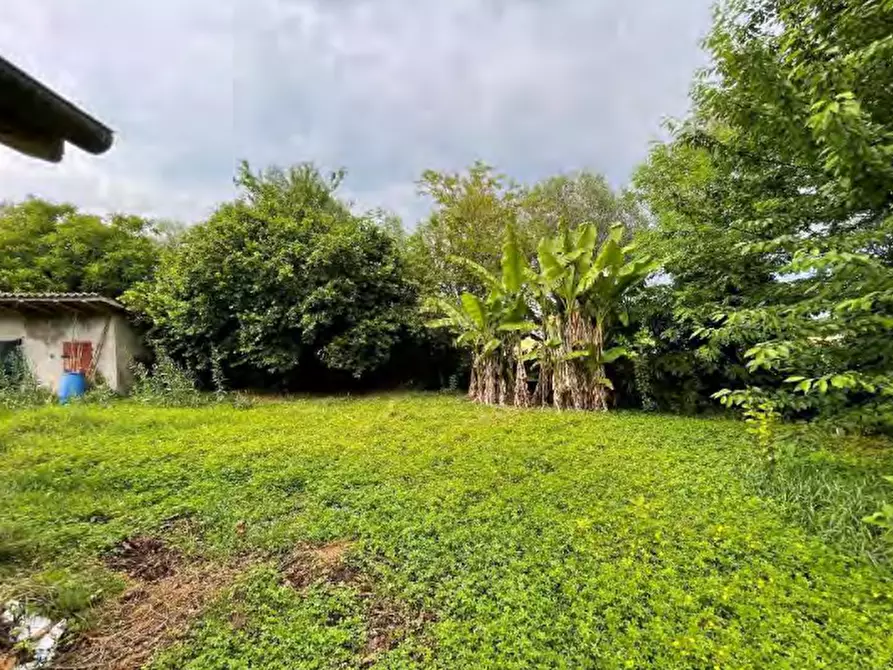 Immagine 12 di Villa in vendita  in Via Pastoreria a Gazzo Padovano