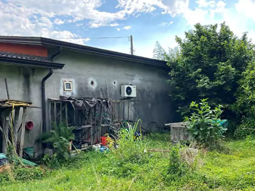 Immagine 16 di Villa in vendita  in Via Pastoreria a Gazzo Padovano