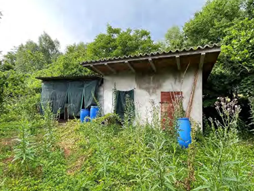 Immagine 17 di Villa in vendita  in Via Pastoreria a Gazzo Padovano