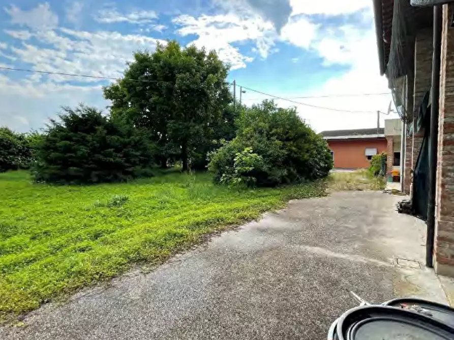 Immagine 19 di Villa in vendita  in Via Pastoreria a Gazzo Padovano