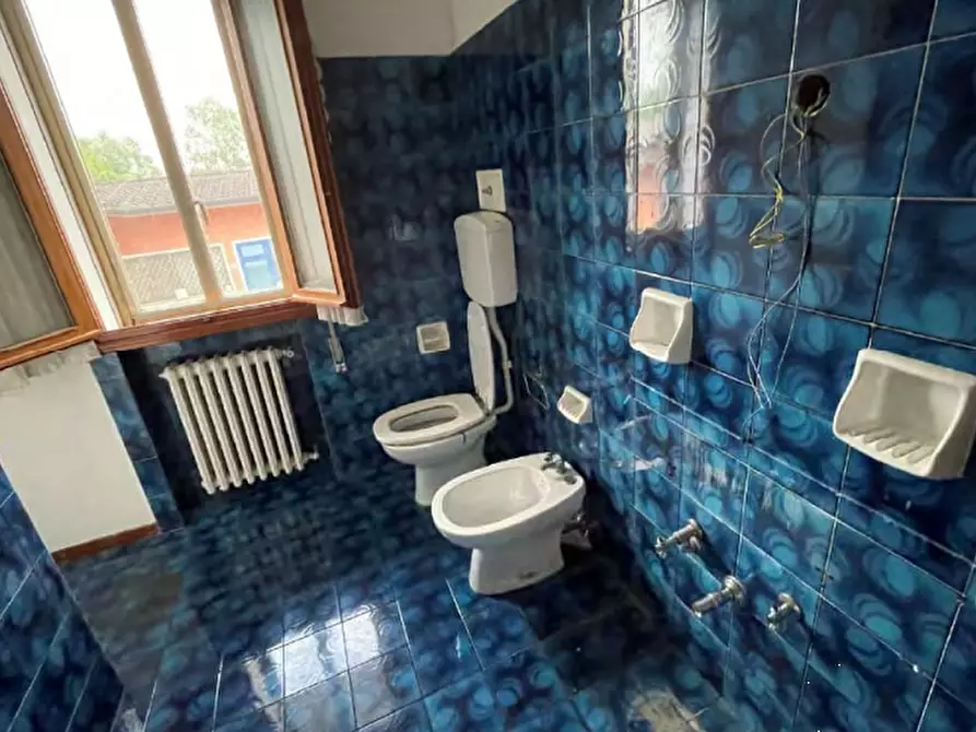 Immagine 38 di Villa in vendita  in Via Pastoreria a Gazzo Padovano