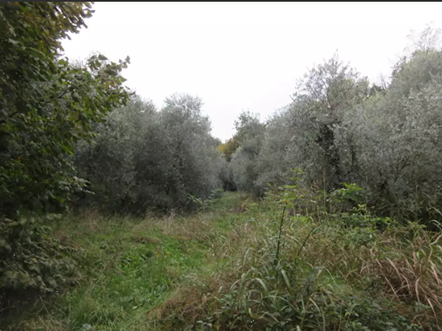 Immagine 6 di Casa indipendente in vendita  in Via Pianezzola a Marostica