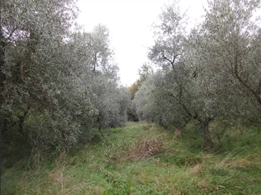 Immagine 7 di Casa indipendente in vendita  in Via Pianezzola a Marostica