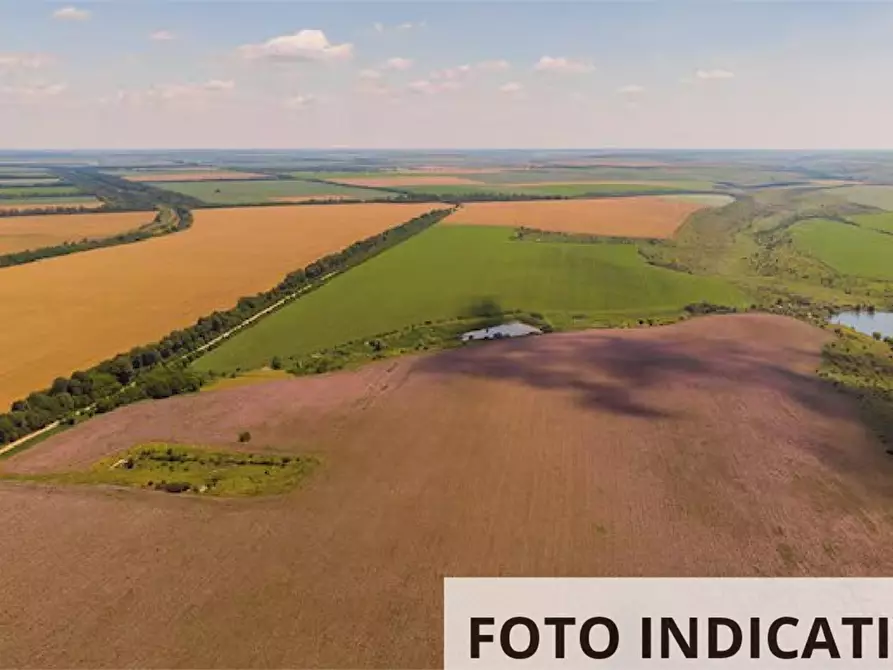 Immagine 10 di Terreno agricolo in vendita  in Via Molino a Dolcè