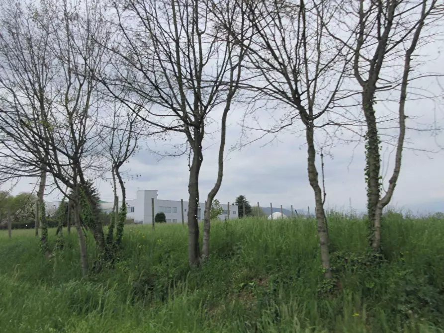 Immagine 4 di Capannone industriale in vendita  in Via Bacchiglione a Isola Vicentina