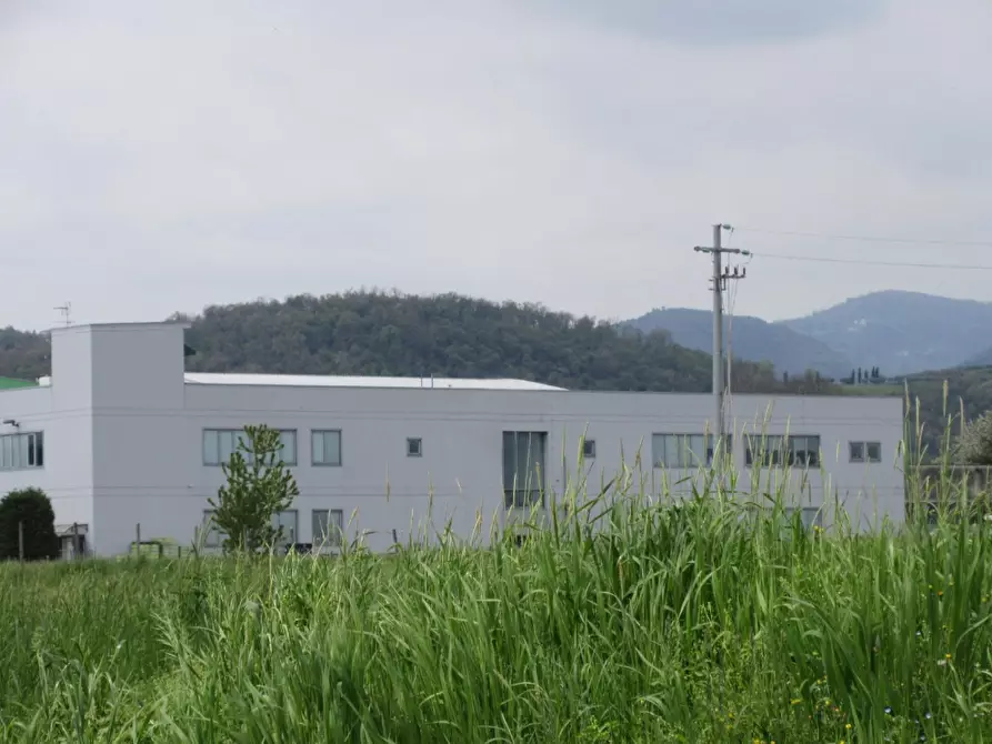 Immagine 5 di Capannone industriale in vendita  in Via Bacchiglione a Isola Vicentina