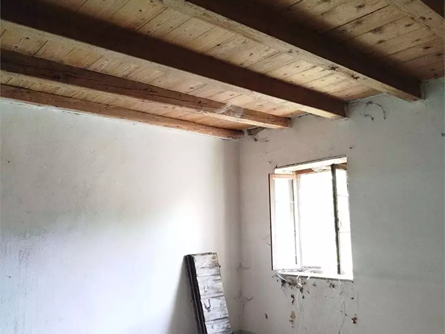 Immagine 5 di Rustico / casale in vendita  in Località Valturcana a Alpago