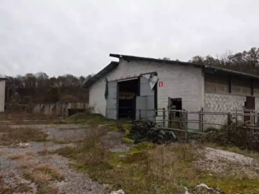 Immagine 4 di Rustico / casale in vendita  in Via Nave a Belluno