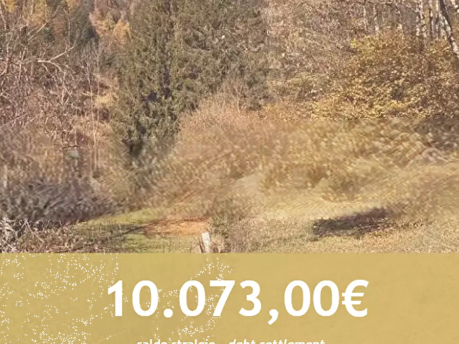 Immagine 1 di Terreno agricolo in vendita  in via burrei a Pieve Di Cadore