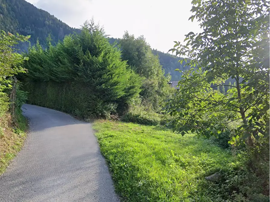 Immagine 2 di Terreno agricolo in vendita  in via burrei a Pieve Di Cadore