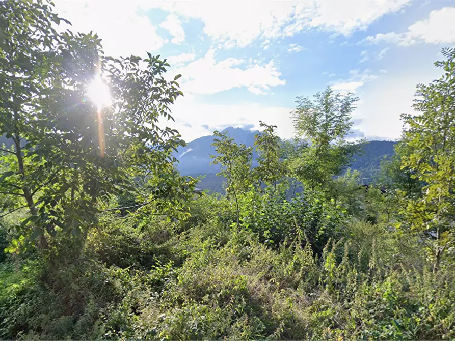 Immagine 3 di Terreno agricolo in vendita  in via burrei a Pieve Di Cadore