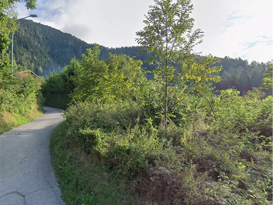 Immagine 4 di Terreno agricolo in vendita  in via burrei a Pieve Di Cadore
