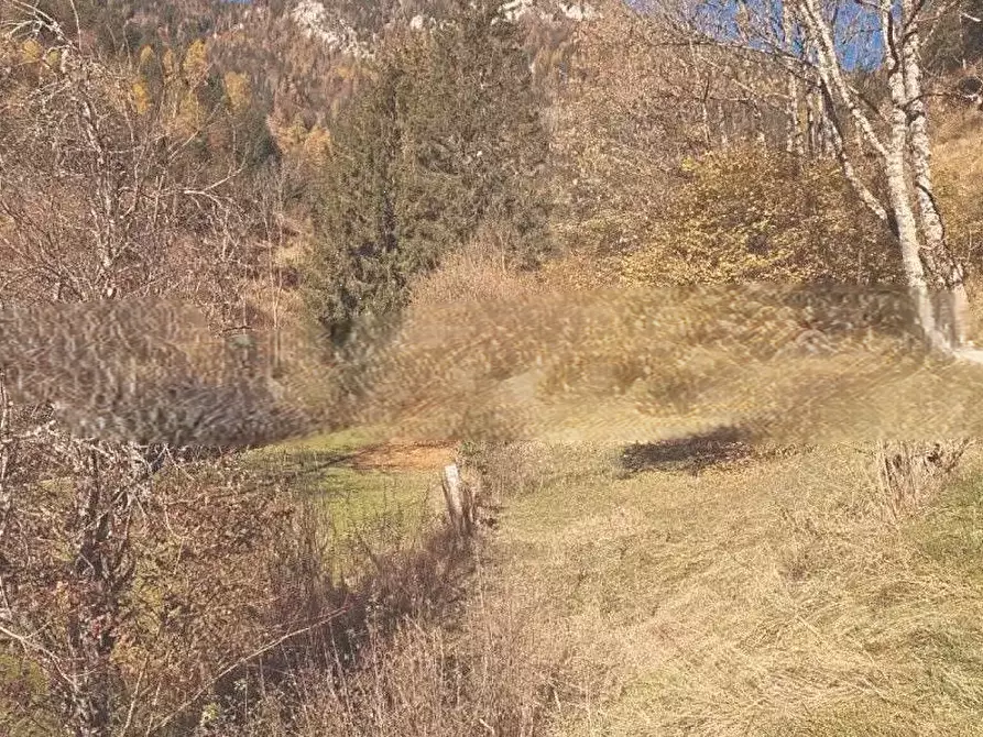 Immagine 6 di Terreno agricolo in vendita  in via burrei a Pieve Di Cadore
