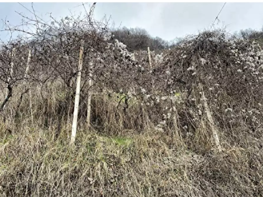 Immagine 2 di Terreno agricolo in vendita  in Via San Giorgio a Farra Di Soligo
