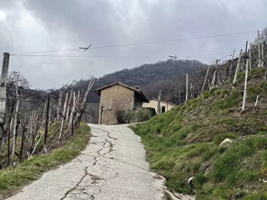 Immagine 3 di Terreno agricolo in vendita  in Via San Giorgio a Farra Di Soligo