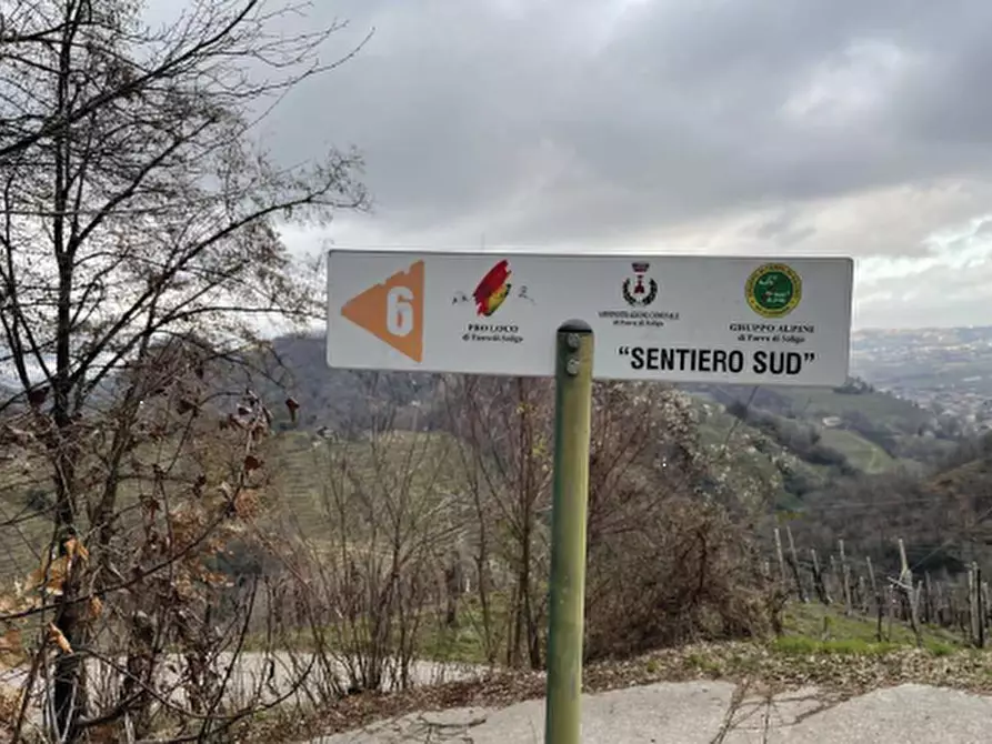 Immagine 5 di Terreno agricolo in vendita  in Via San Giorgio a Farra Di Soligo