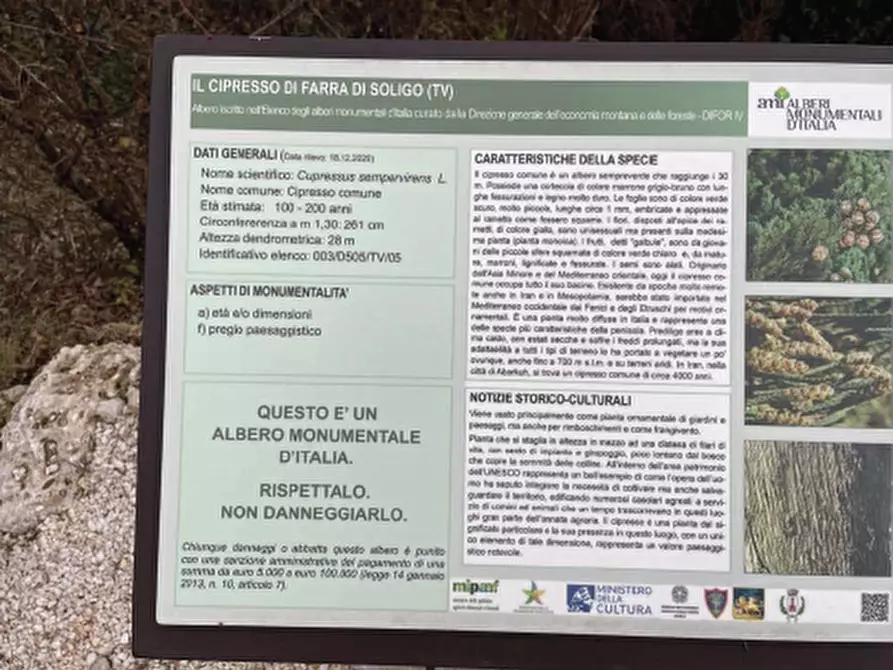 Immagine 7 di Terreno agricolo in vendita  in Via San Giorgio a Farra Di Soligo