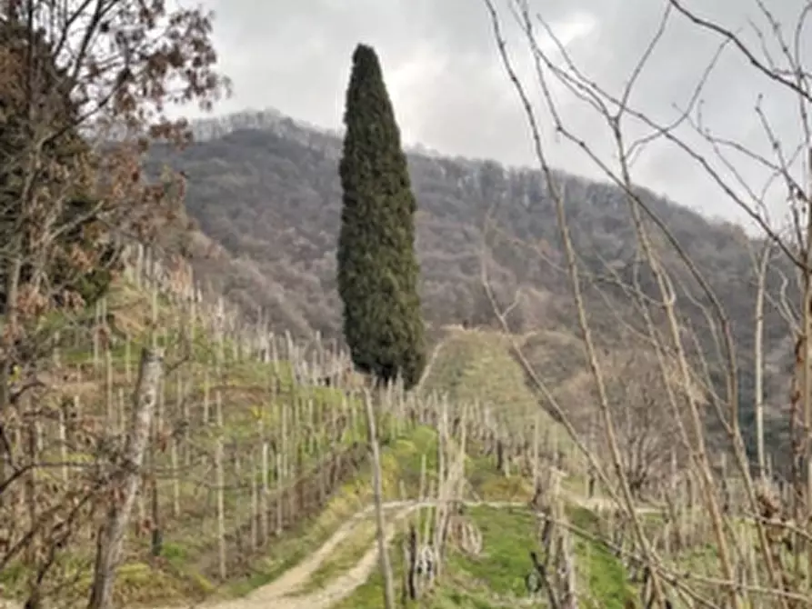 Immagine 8 di Terreno agricolo in vendita  in Via San Giorgio a Farra Di Soligo