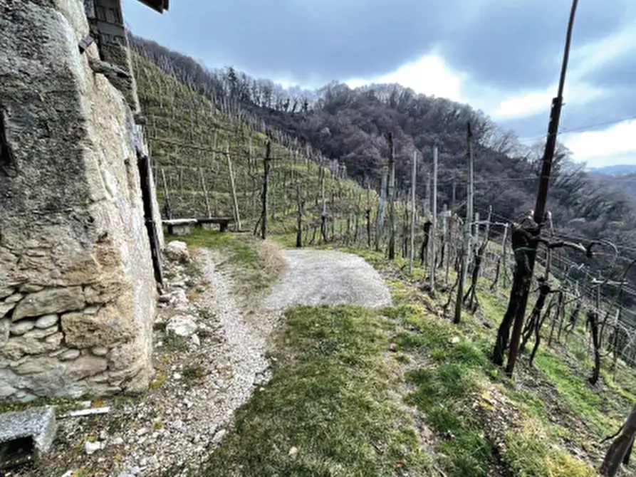 Immagine 10 di Terreno agricolo in vendita  in Via San Giorgio a Farra Di Soligo
