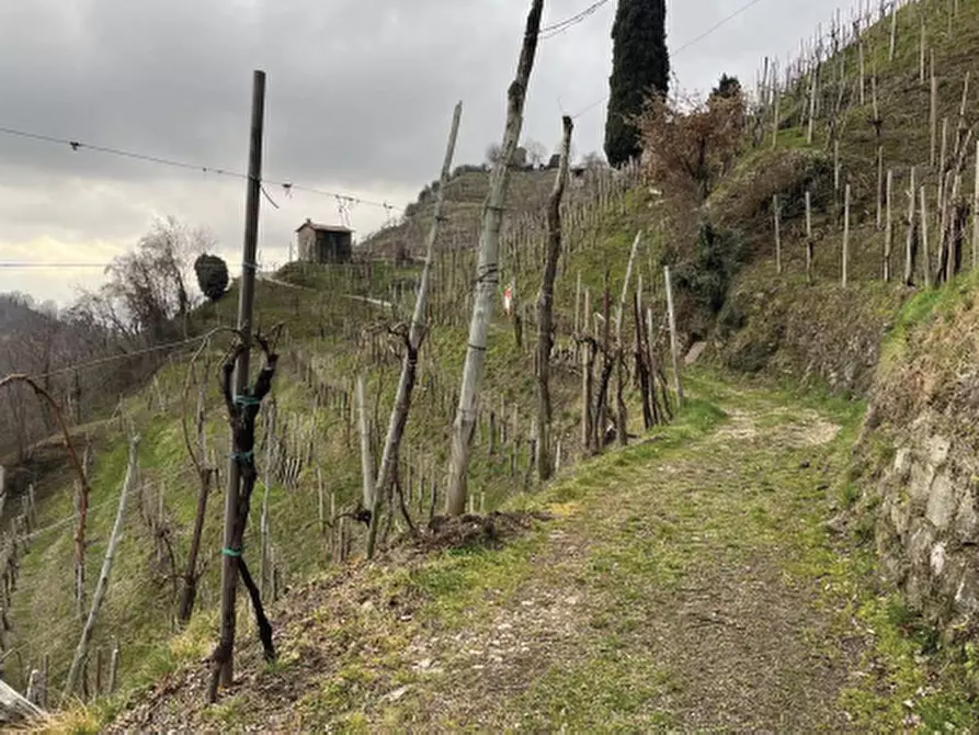 Immagine 11 di Terreno agricolo in vendita  in Via San Giorgio a Farra Di Soligo