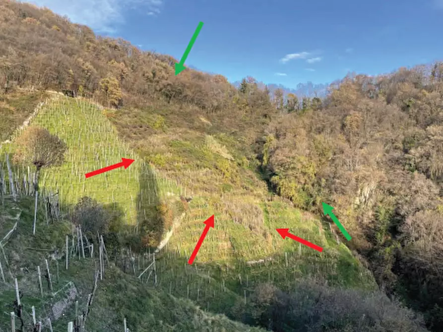 Immagine 12 di Terreno agricolo in vendita  in Via San Giorgio a Farra Di Soligo
