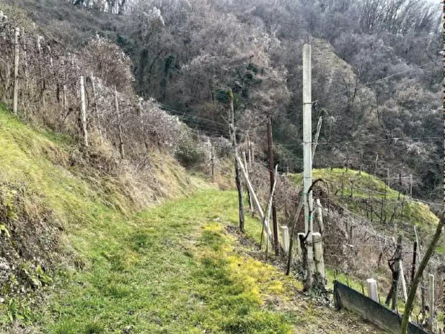 Immagine 13 di Terreno agricolo in vendita  in Via San Giorgio a Farra Di Soligo