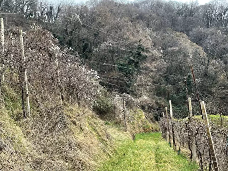 Immagine 14 di Terreno agricolo in vendita  in Via San Giorgio a Farra Di Soligo
