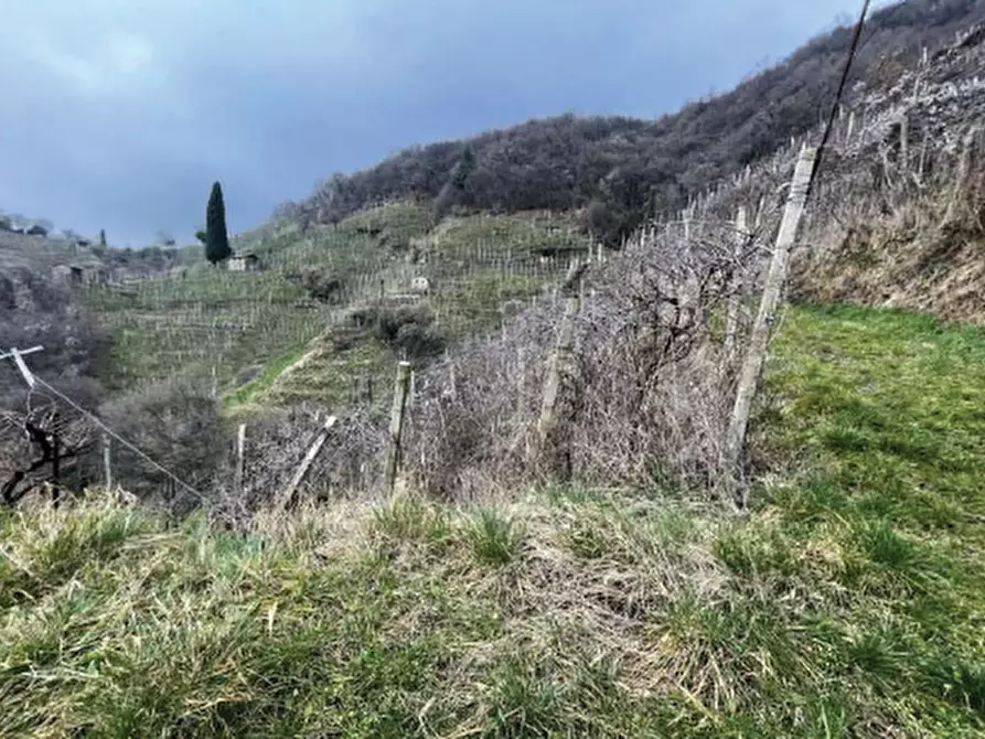 Immagine 15 di Terreno agricolo in vendita  in Via San Giorgio a Farra Di Soligo