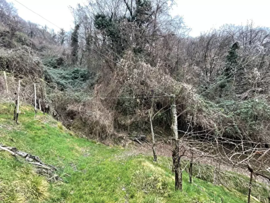 Immagine 18 di Terreno agricolo in vendita  in Via San Giorgio a Farra Di Soligo
