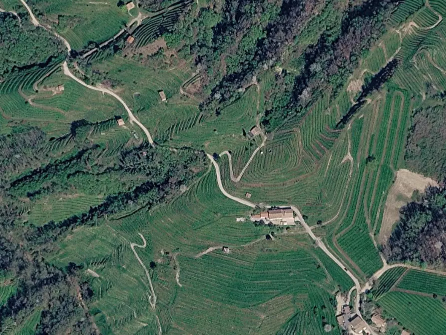 Immagine 21 di Terreno agricolo in vendita  in Via San Giorgio a Farra Di Soligo
