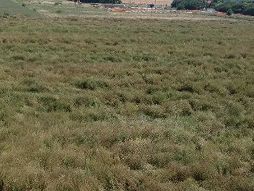 Immagine 3 di Terreno edificabile in vendita  in via don Minzoni a Molinella