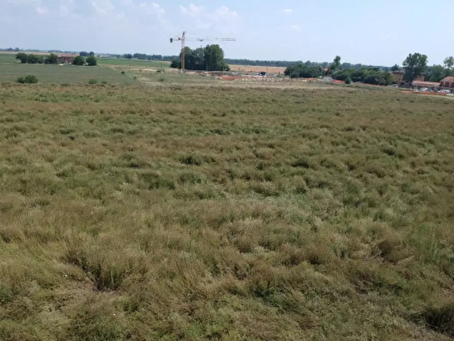Immagine 6 di Terreno edificabile in vendita  in via don Minzoni a Molinella