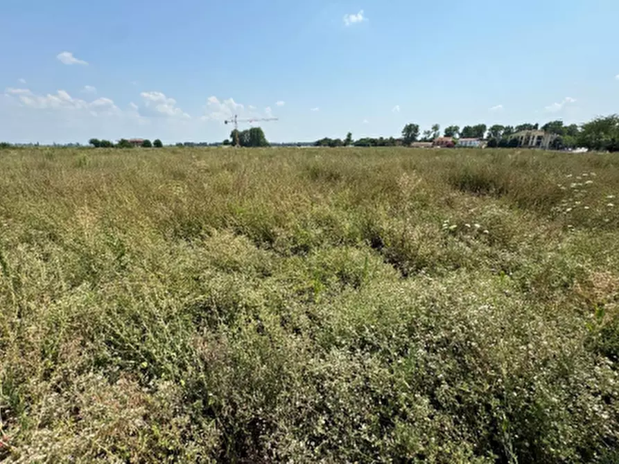 Immagine 7 di Terreno edificabile in vendita  in via don Minzoni a Molinella