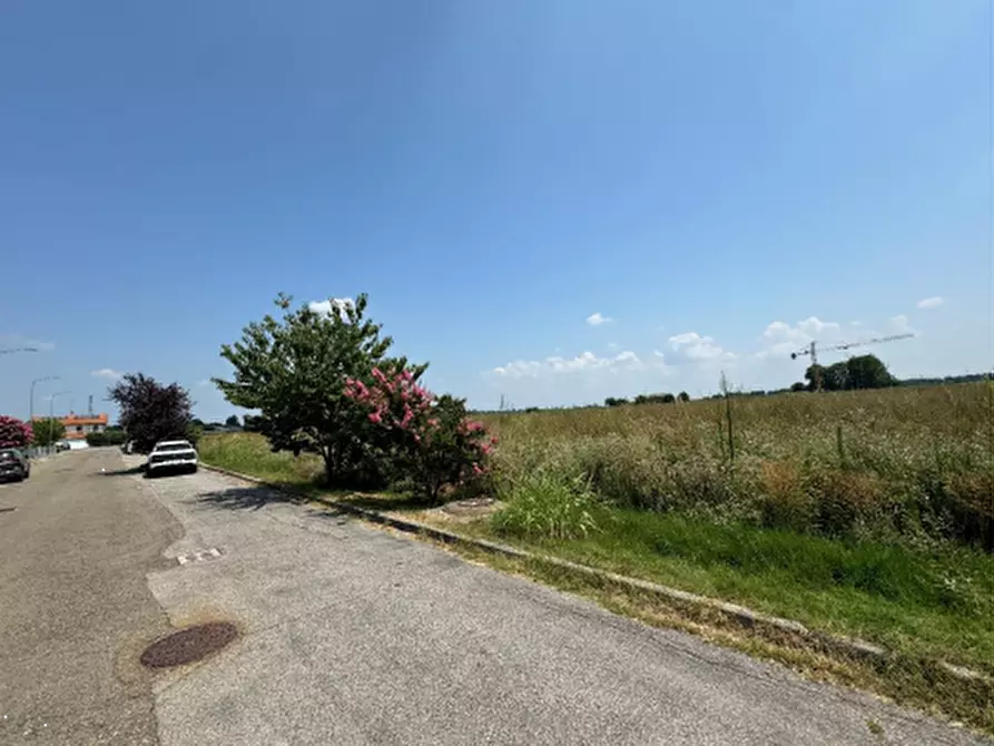 Immagine 11 di Terreno edificabile in vendita  in via don Minzoni a Molinella